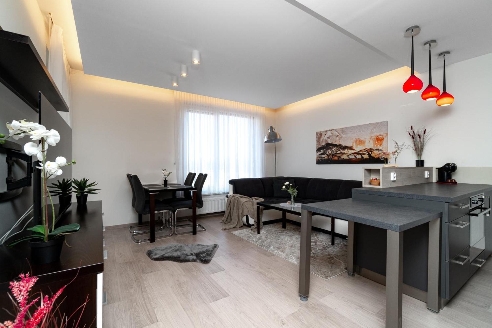 Bnb New Beautiful Apartment In The Center Of Ostrava With Option Garage Parking Esterno foto